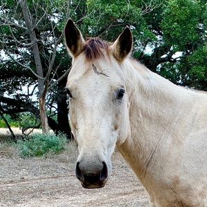 Meet your Posher, Jordan